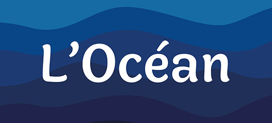 https://designetmatieres.com/wp-content/uploads/2023/10/locean.jpg